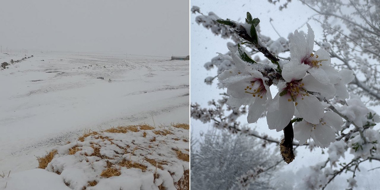 Konya’da kar sevindirdi soğuk üzdü