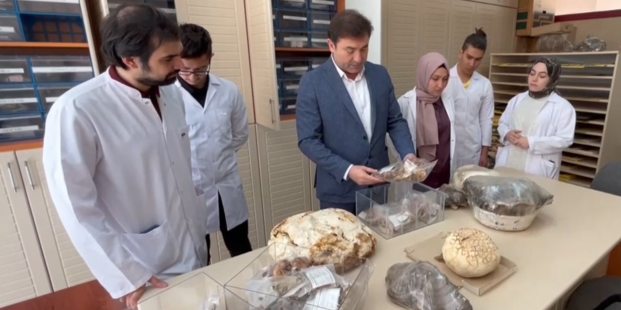 Konya’da 30 bin örnek mantarla uygulamalı eğitim