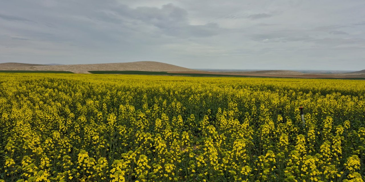 Konya için kara haberi Süleyman Soylu duyurdu