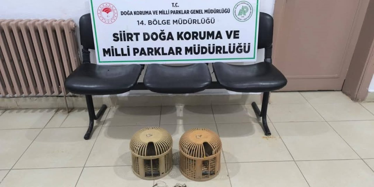 Keklik avına 111 bin 855 lira ceza