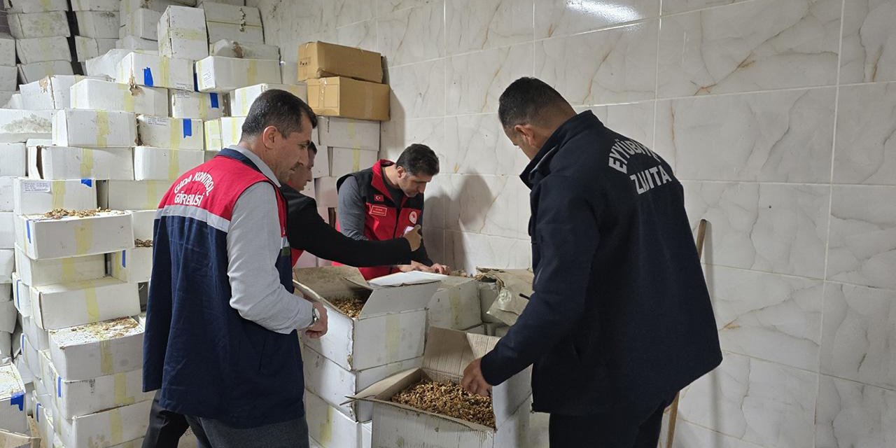 Baklavada kullanılacaktı: 11 ton küflü ve kurtlu ceviz