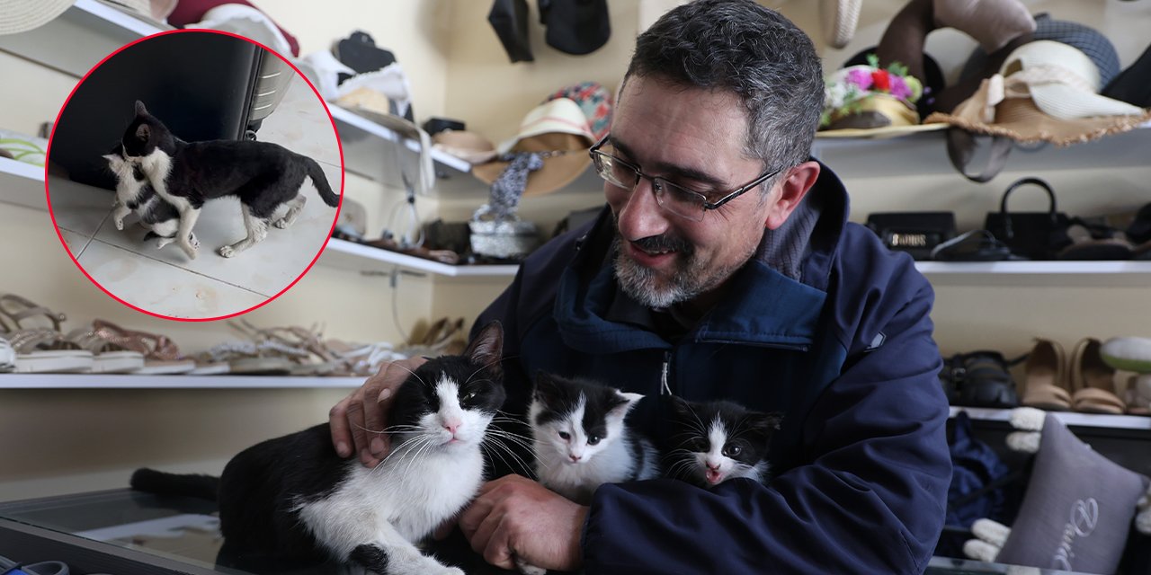 Güven kokusu alan anne, yavrularını Konya esnafına emanet etti