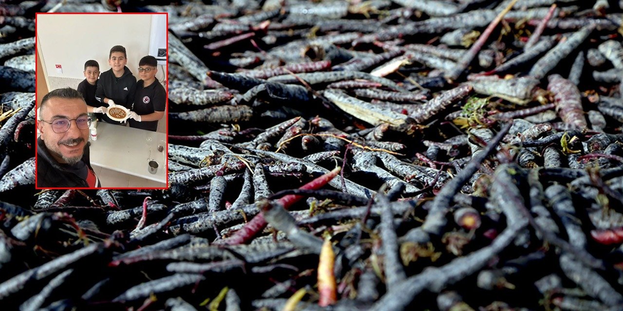 Konya’nın siyah havucundan devrim gibi buluş