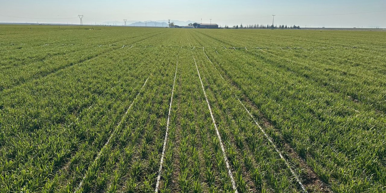 Konyalı çiftçi, obruk dolu ilçede yeni sulama yöntemine geçti