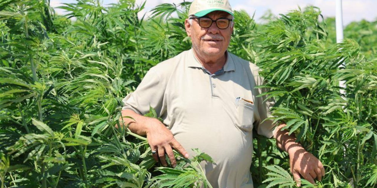 Konya, önceki yılların yasak ürününde merkez olma hedefinde