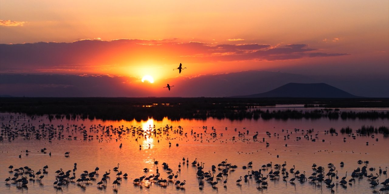 Allı turnalar Konya’nın cennetinde ziyaretçi bekliyor