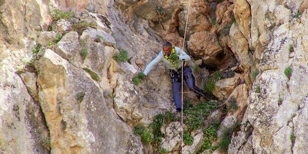 Konya’da ölümle burun buruna hasat
