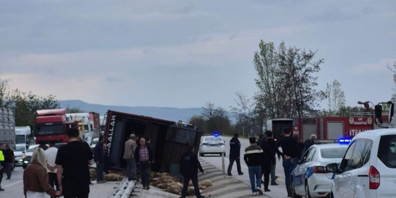 Konya yolunda kamyon devrildi, 53 koyun telef oldu