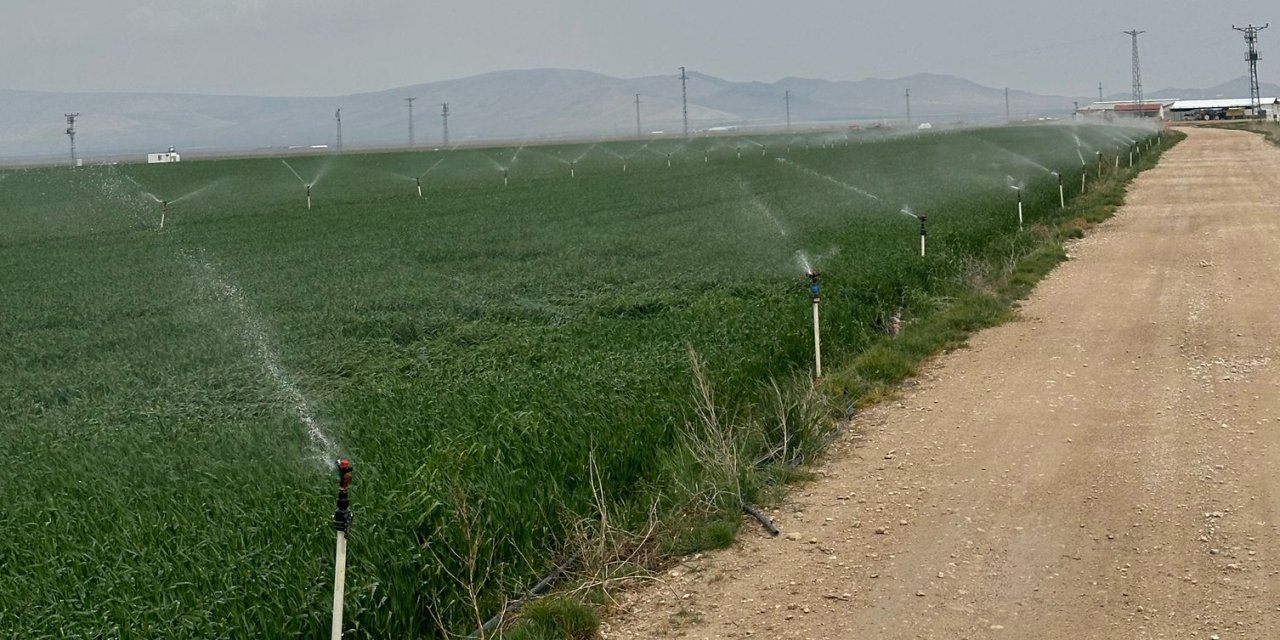 Konyalı Profesör örnek sulama sistemini gösterdi