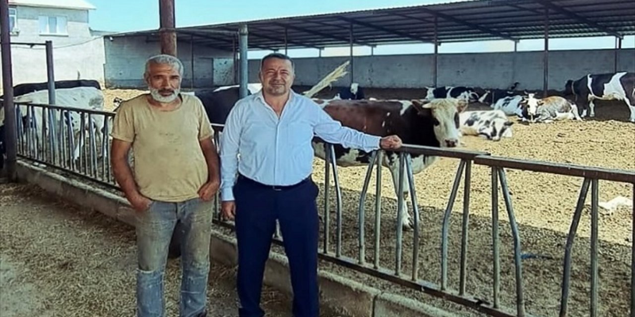 Yalıhüyük’te hayvan gübreleri enerjiye dönüşecek