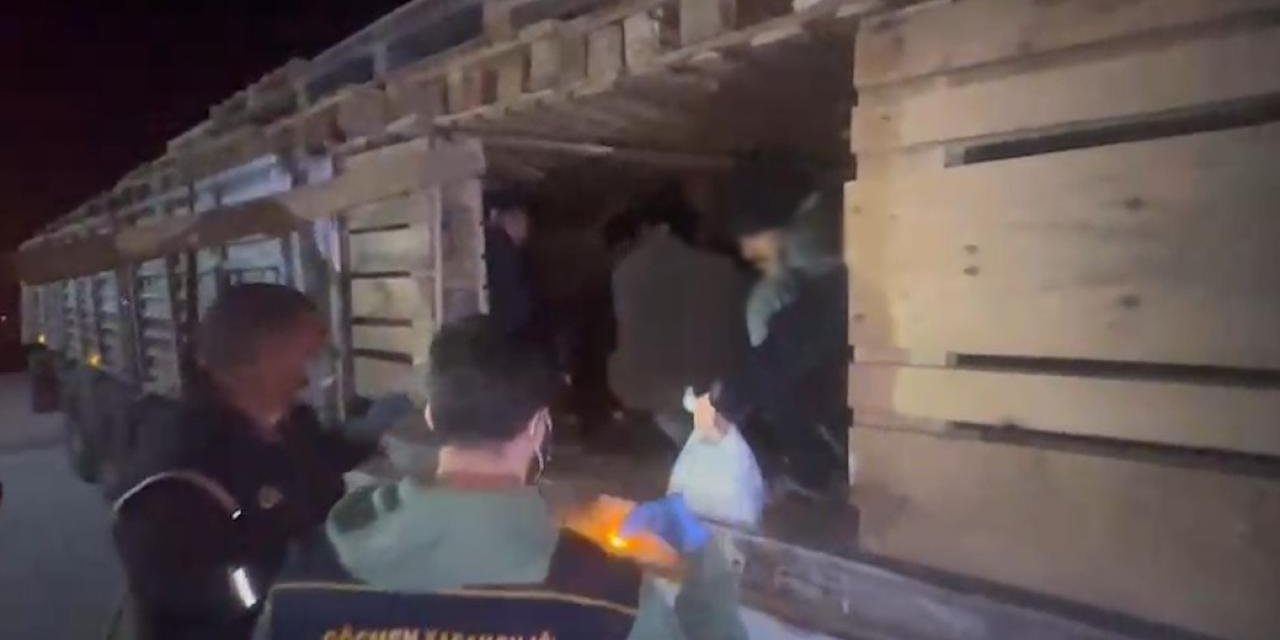 Tırın dorsesindeki gizli bölmeden 42 kişi çıktı