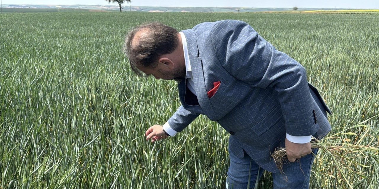 Yağış alamayan bölgede tarihin en büyük kuraklığı kapıda
