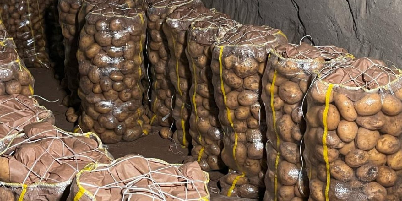 Konya’da da kullanılıyordu! 2 bin ton tohumluk patates virüslü çıktı