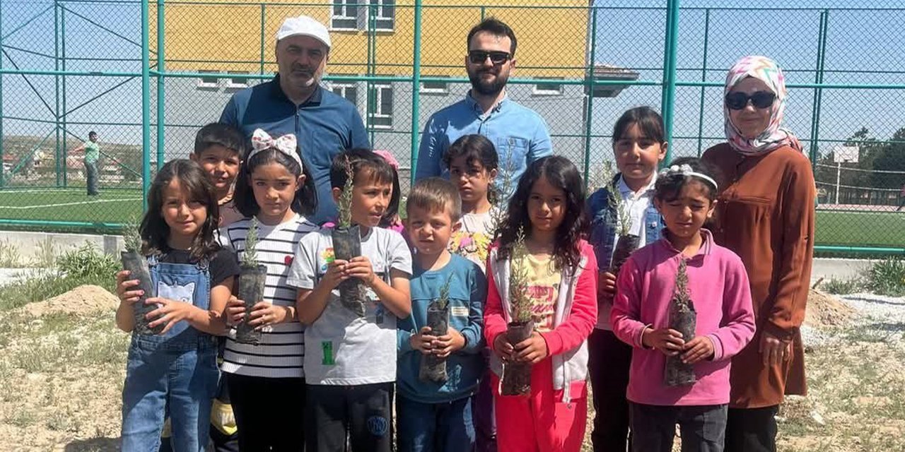 Konya’da 110 mavi servi toprakla buluştu