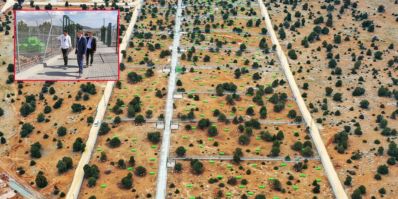 Meram’ın insanları ve hayvanları koruyan projesi Türkiye’ye örnek oluyor