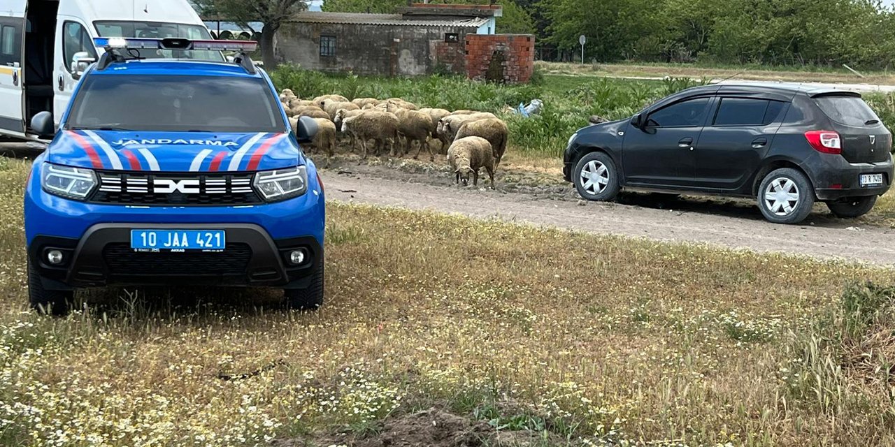 Ağılda çıkan yangında 42 küçükbaş telef oldu