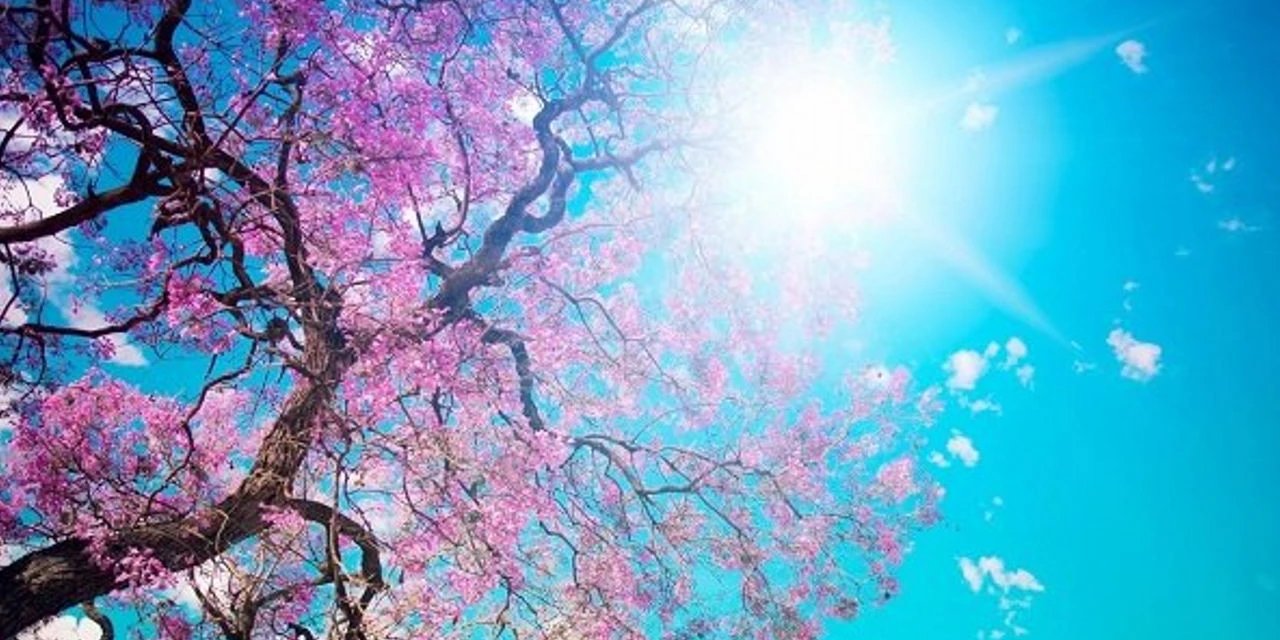 Konya'da uzmanı uyardı! Sabahları dışarı çıkmayın