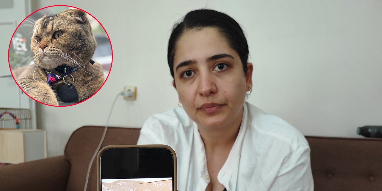 Evlilikleri kayıp kediye bağlı! Bulunmazsa kocası boşayacak