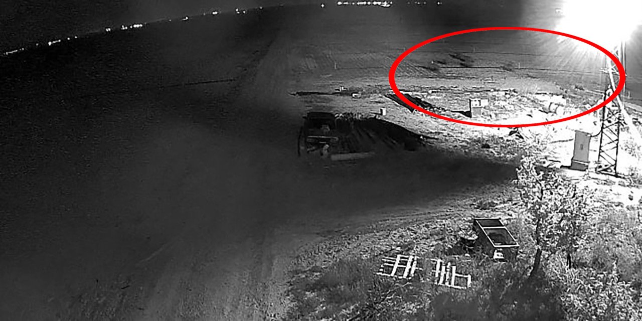 Konya’da ekili arazileri talan eden sürü kamerada