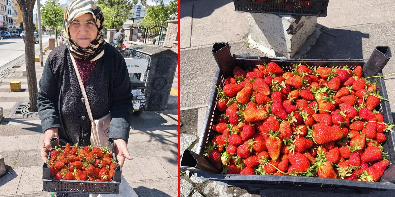 Konya’nın eşsiz yerli lezzeti pazara çıktı