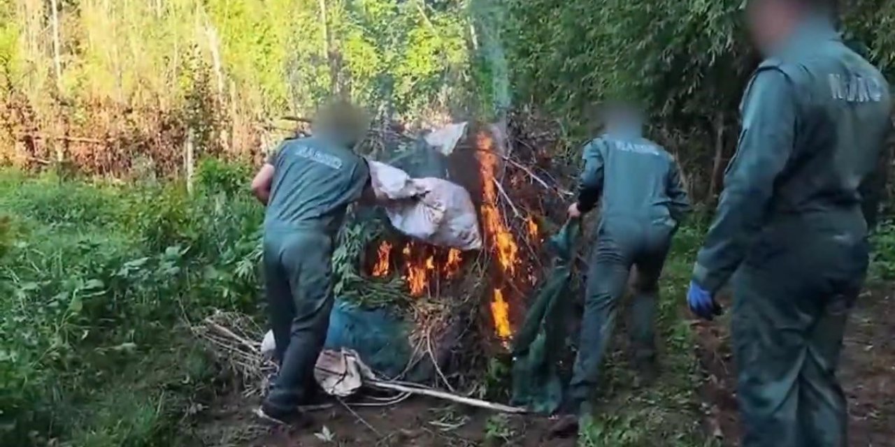 Dünya mirasında 2 milyarlık zehir operasyonu