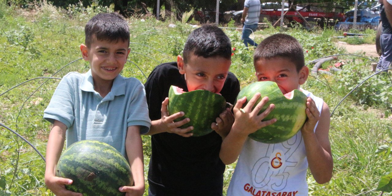 Sulu sulu yaz lezzetinin satışı başladı! Kilosu 7 lira