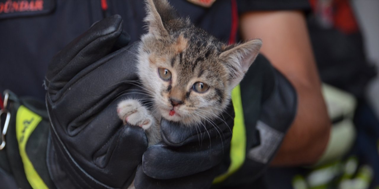 Konya’da yavru kediyi kurtaran itfaiyeci konuştu