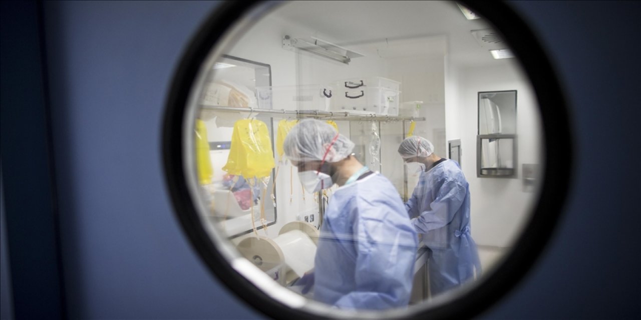 1,5 yaşındaki bebek kene nedeniyle hayatını kaybetti