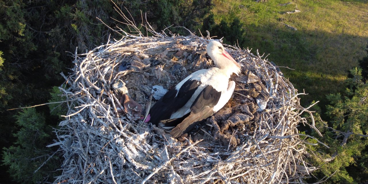 Konya’nın ünlü vadisinde anne nöbeti