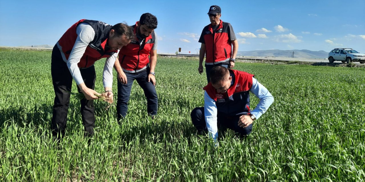 Konya’da tarımın röntgeni çekilecek