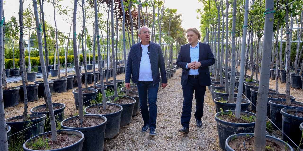 Kökü Meram’da olan fidanlar Konya’ya nefes oluyor