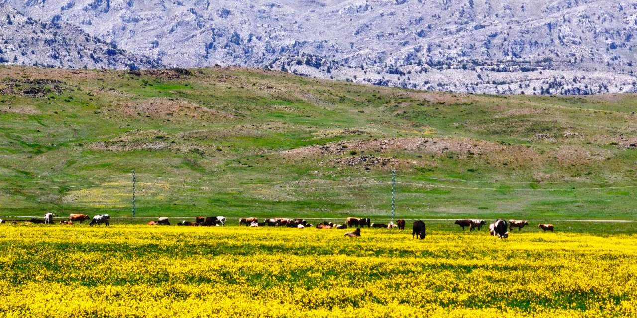 Konya’nın cennet köşesi baharı böyle karşıladı