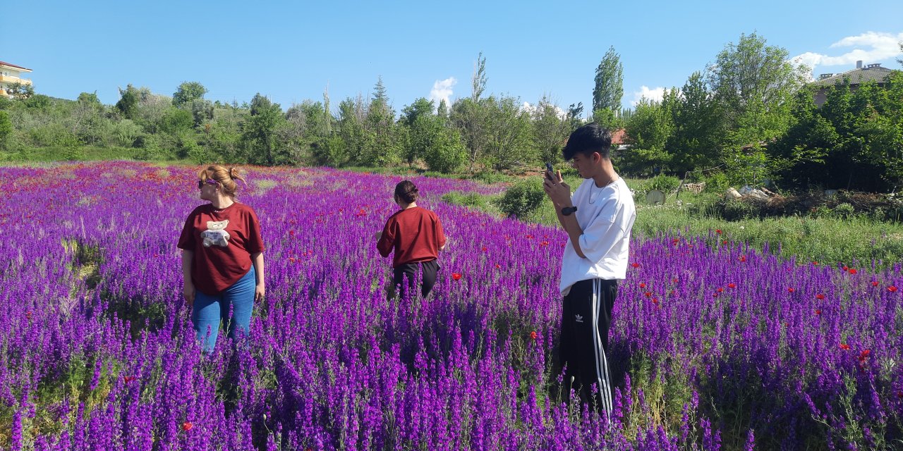 Konya’da bahar, direksiyon kırdırıyor! Gören fotoğrafını çekmeden gitmiyor