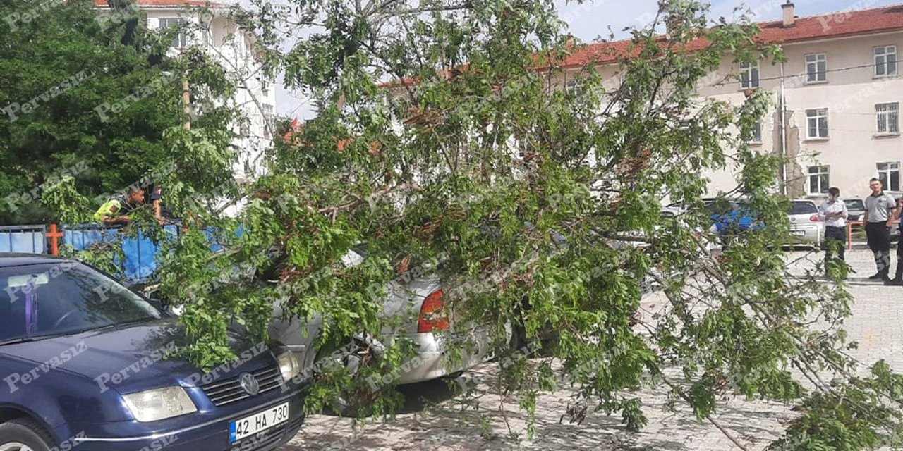 Korkulan oldu! Konya’da fırtına ağaç devirdi