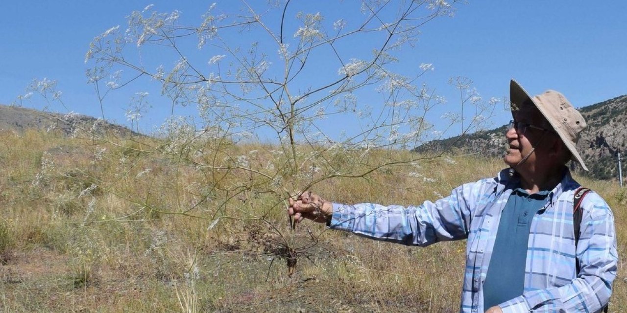 Konya’nın yükseklerinde yeni keşif! Cana can katabilir