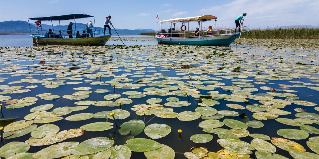 Konya’da beklenen an! Doğanın sessiz mucizesi göz kamaştırmaya başladı