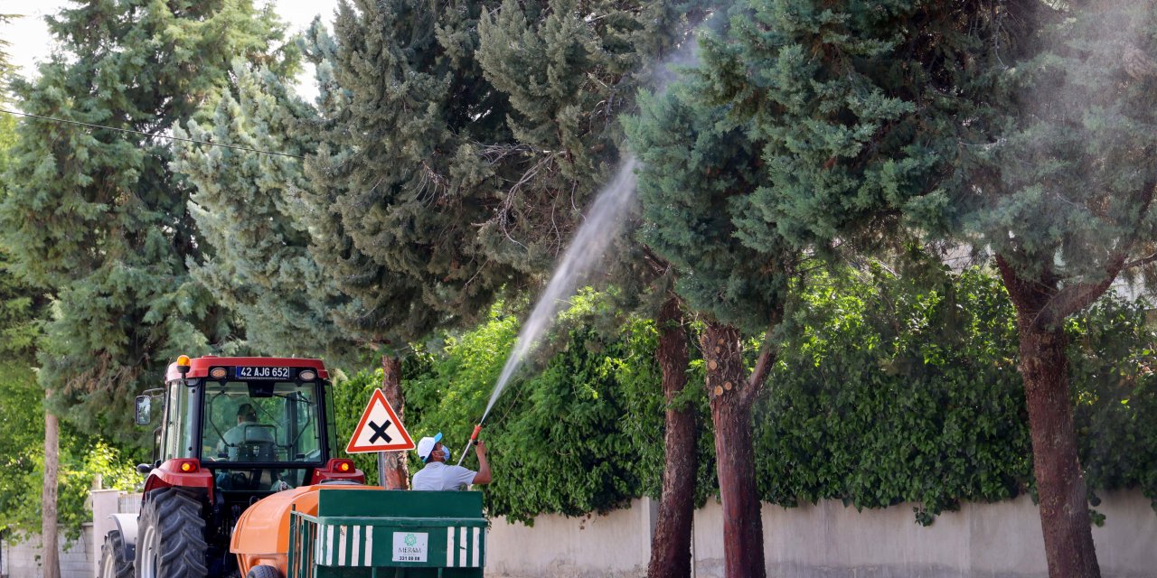 Meram'da rahat bir yaz için ekipler sahada