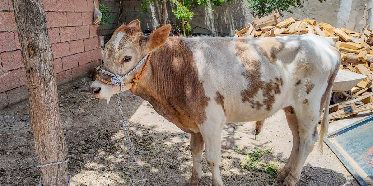 9 aydır kaçıyordu! Kurban Bayramı öncesi yakalandı