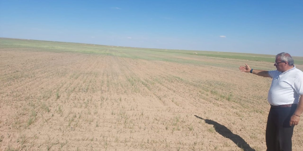 Kuraklık çiftçiyi kötü vurdu: Borçlar faizsiz ertelensin