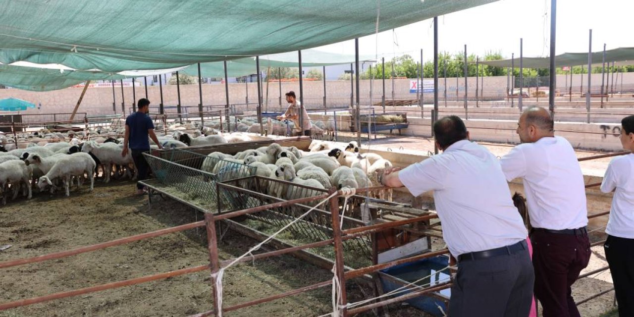 Konya Selçuklu, Meram ve Karatay kurban satış ve kesim yerleri belli oldu