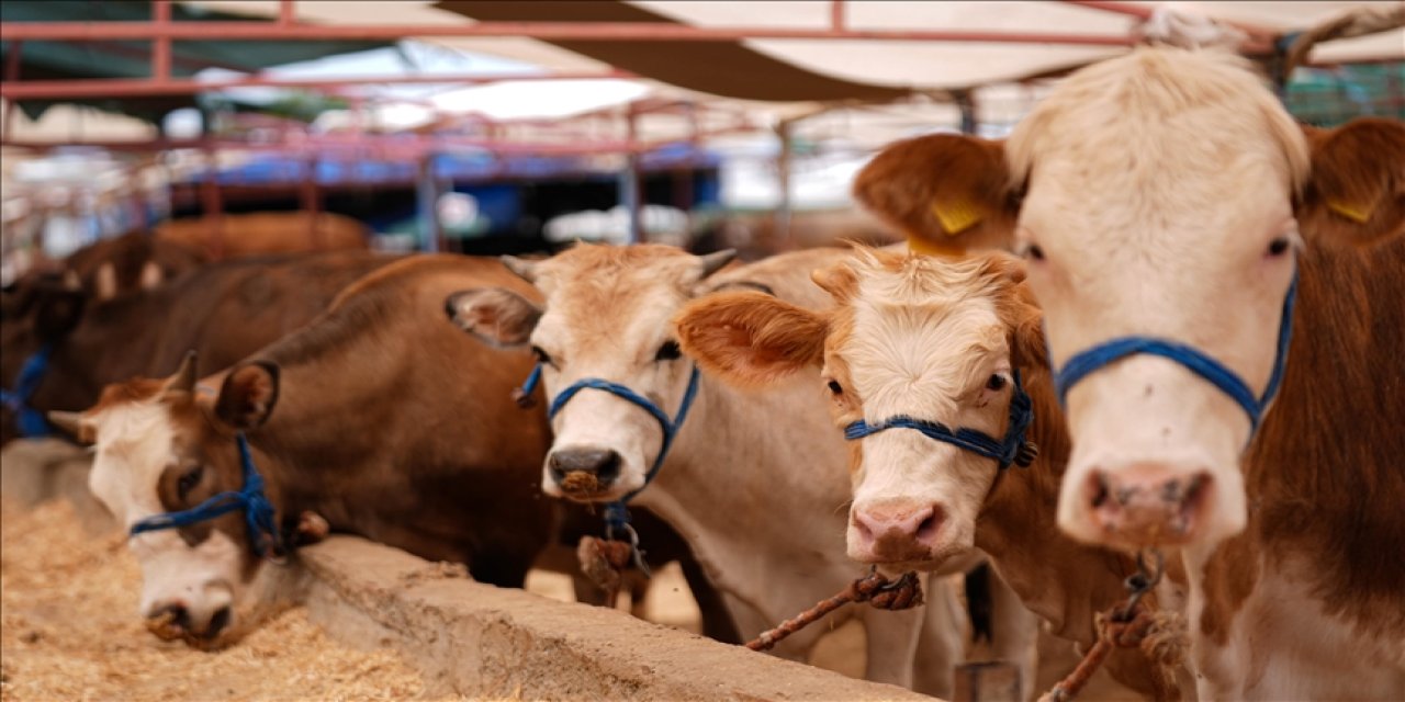 Kırsalda Bereket Projesi Konya sonuçları açıklandı