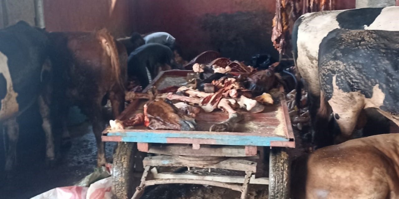 Kebabın başkentinde 2,5 ton at eti ele geçirildi