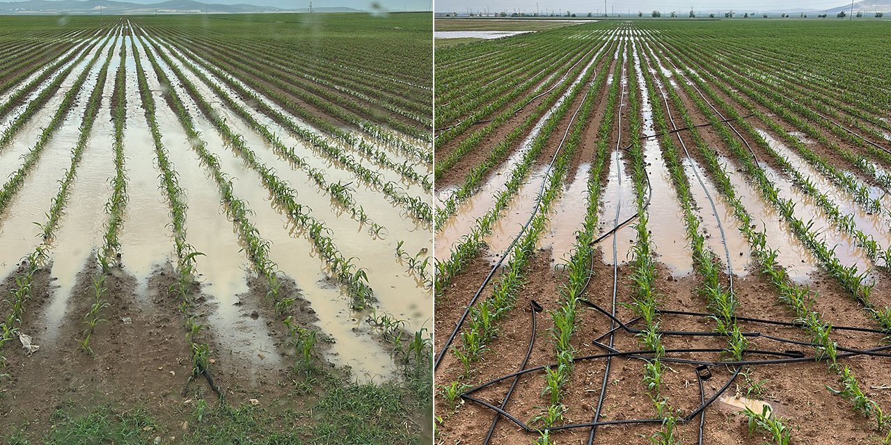 Meteoroloji uyarmıştı! Konya’da tarım arazilerini su bastı