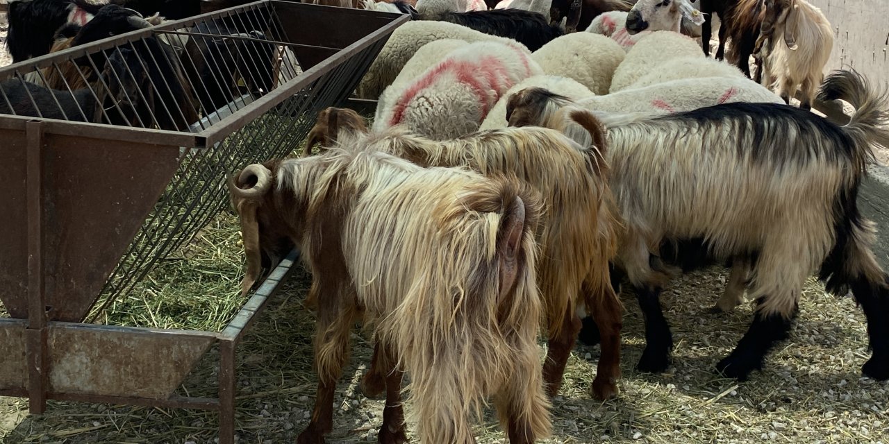 Pazarda pazarlık var, alan yok! Konya'da gözler arife gününde