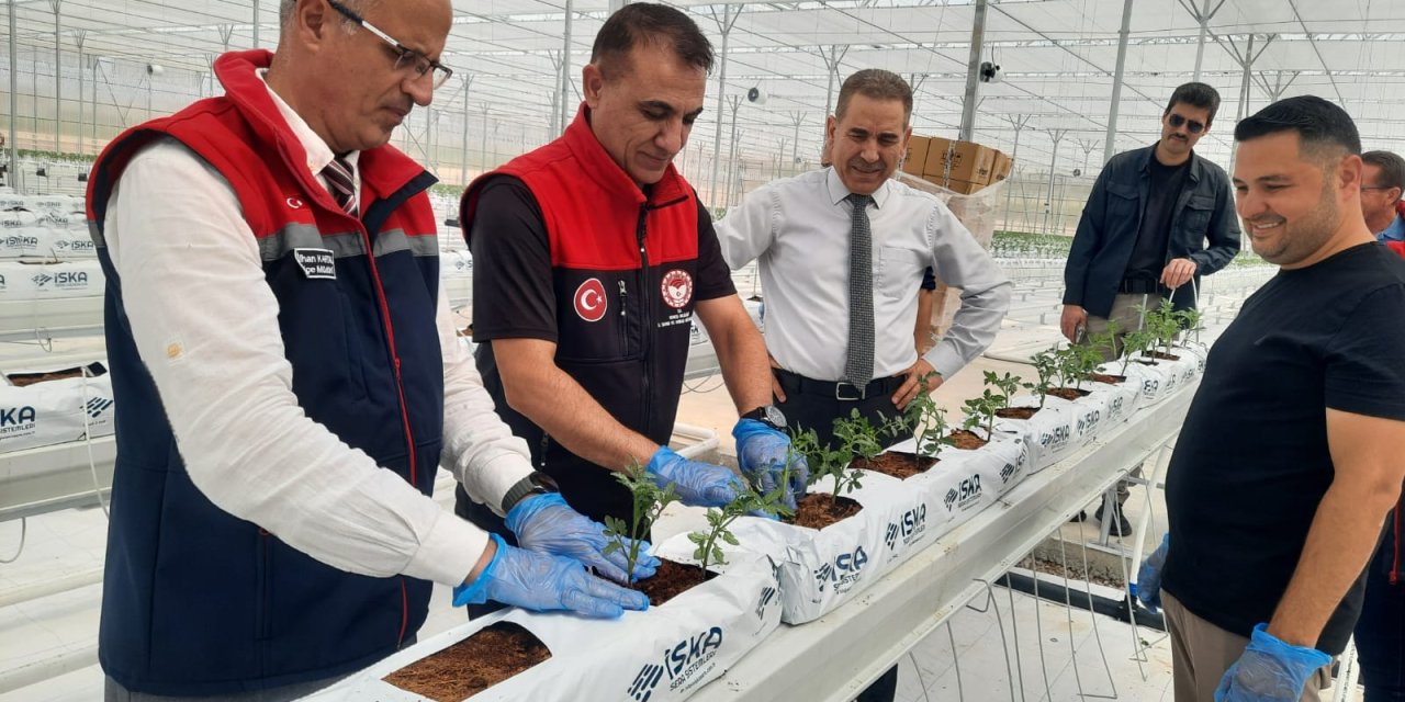 Konya’da topraksız tarım! 40 kişiye istihdam sağlayacak