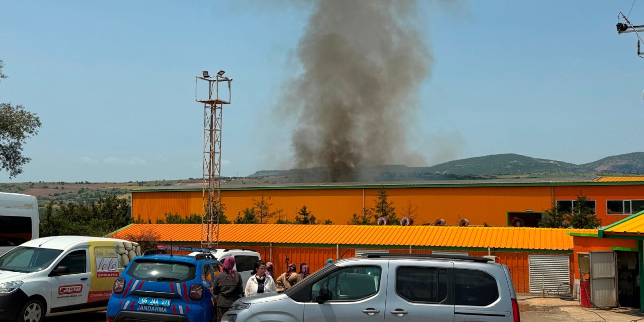 1 milyon tavuğun bulunduğu tesiste 150 bin tavuk öldü