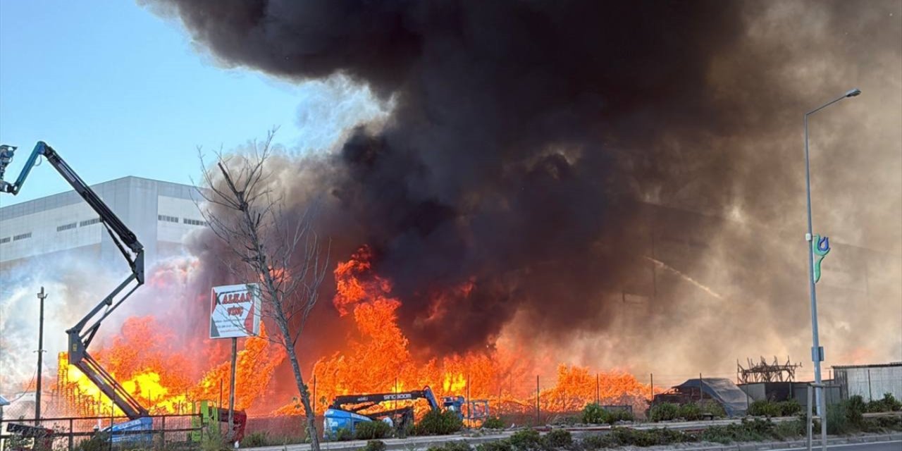 Palet fabrikasında korkutan yangın