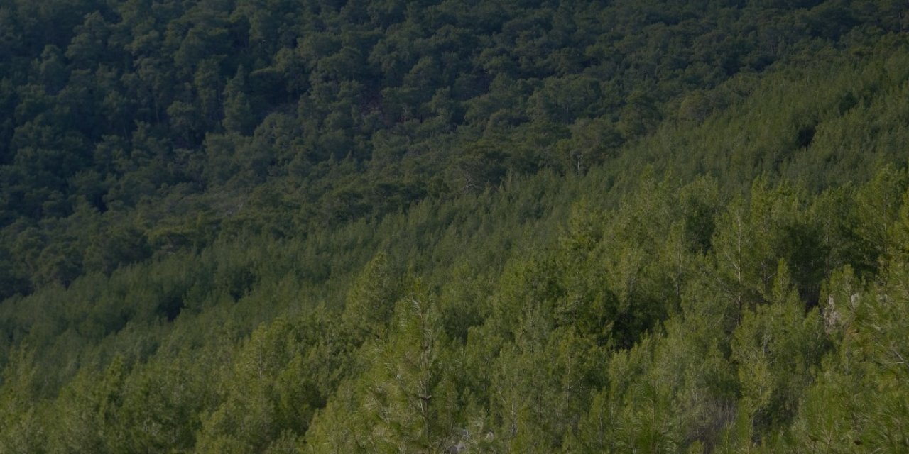 Konya’nın zirvesinde doğa terapisi! Hem bedene hem de ruha şifa gibi