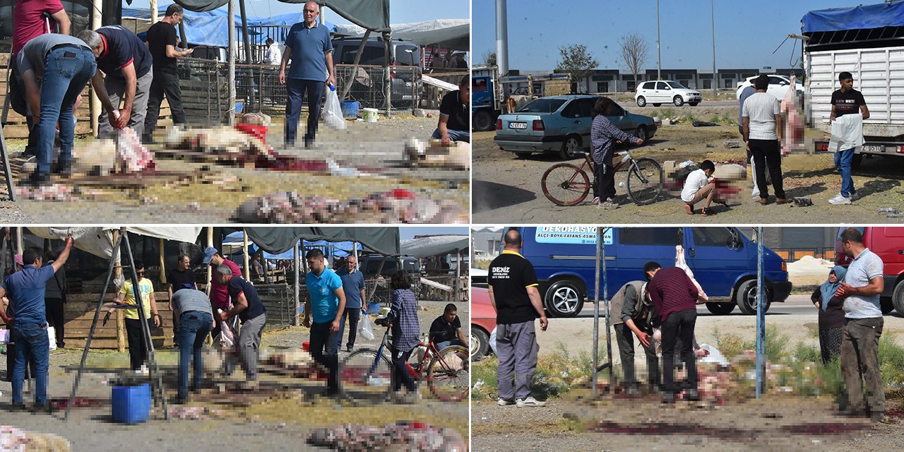 Konya’da izinsiz kurban pazarında satış ve kesim yapıldı
