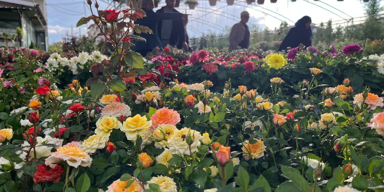 Konya’da hava ısındı, çiçek satışları patladı